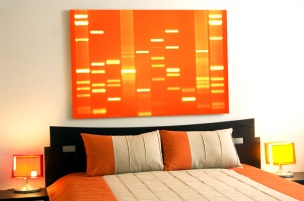 orange DNA11
